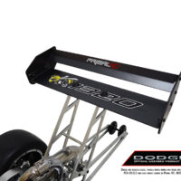 prqs1000-dodge-angry-bee-21