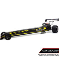 prqs1000-dodge-angry-bee-22