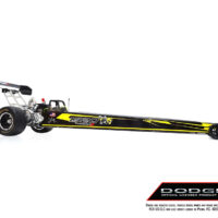 prqs1000-dodge-angry-bee-25
